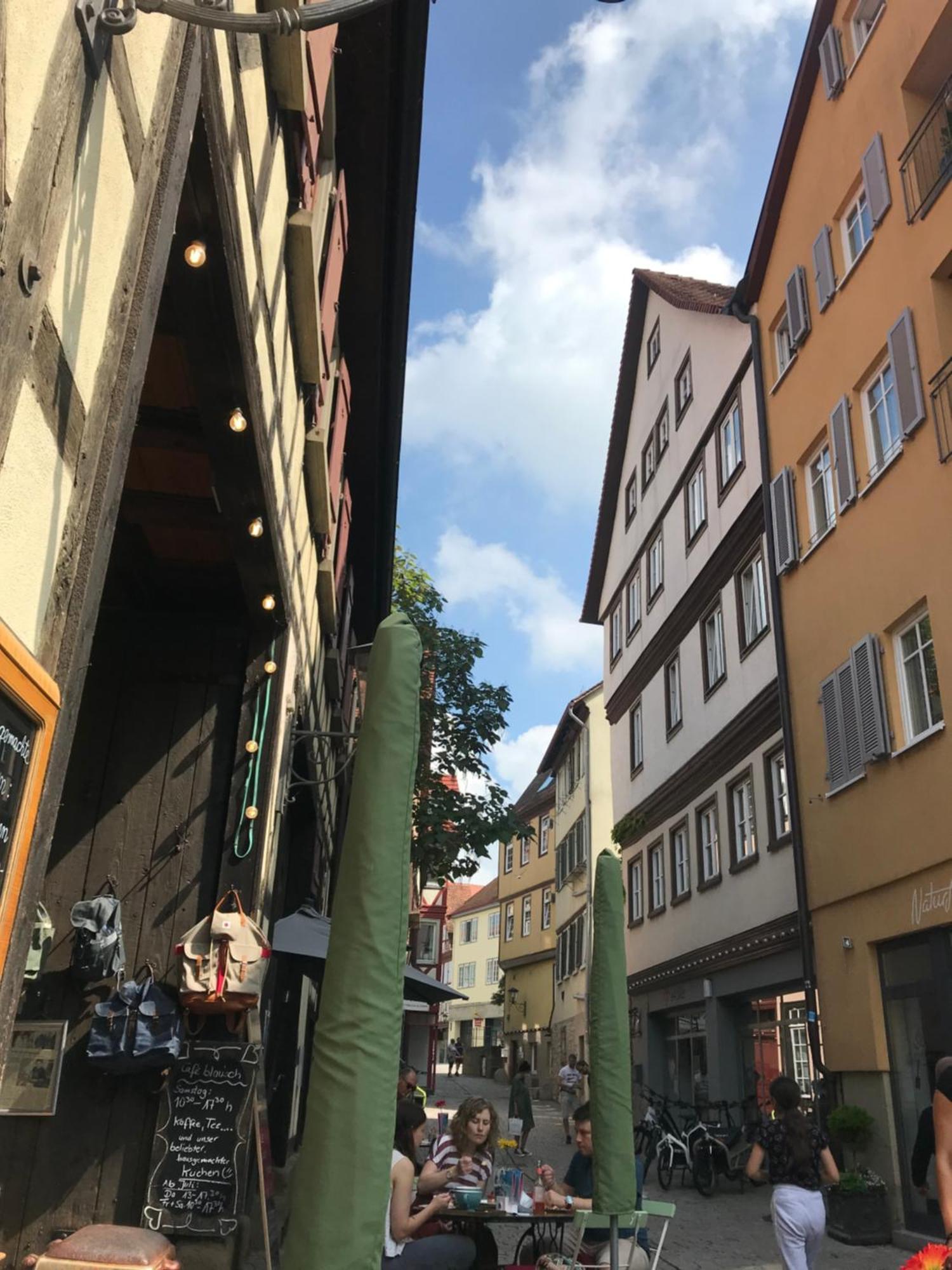 Ferieninrosengarten 1 Zi 190 Cm Deckenhoehe Oder Grosse 4 Zi Dg Whg Apartment