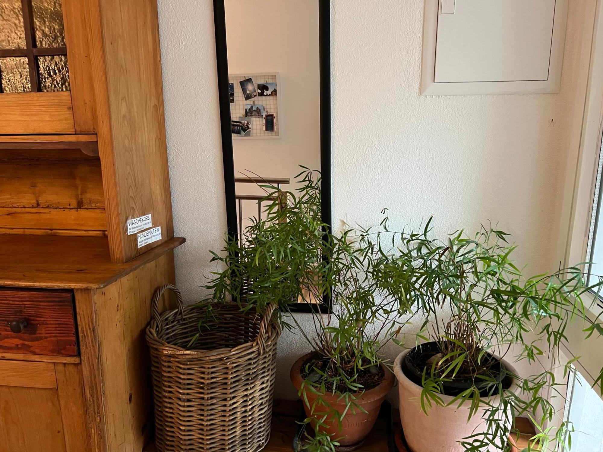 Apartment Ferieninrosengarten 1 Zi 190 Cm Deckenhoehe Oder Grosse 4 Zi Dg Whg *