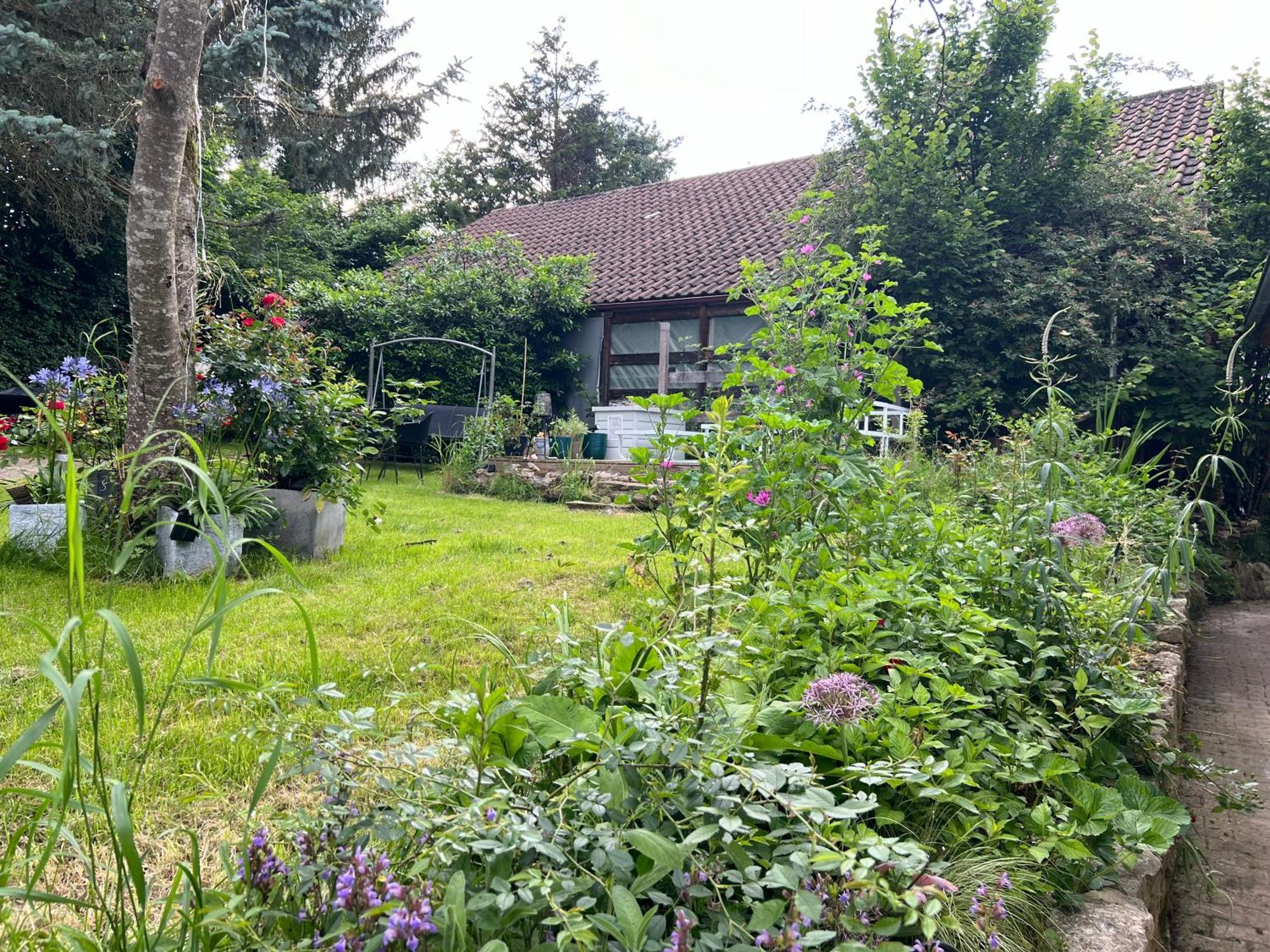 Ferieninrosengarten 1 Zi 190 Cm Deckenhoehe Oder Grosse 4 Zi Dg Whg * Rosengarten (Baden-Wurttemberg)