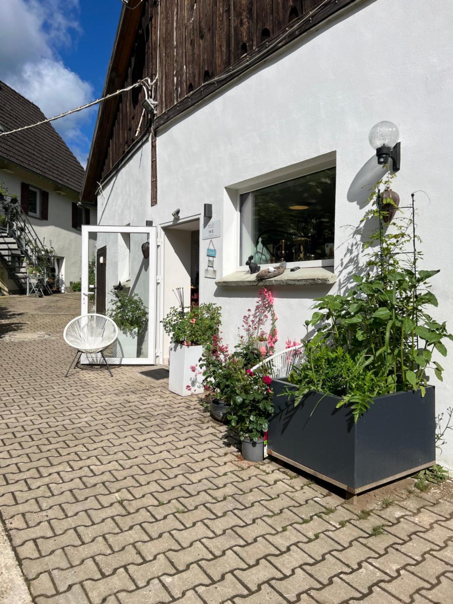 Apartment Ferieninrosengarten 1 Zi 190 Cm Deckenhoehe Oder Grosse 4 Zi Dg Whg *