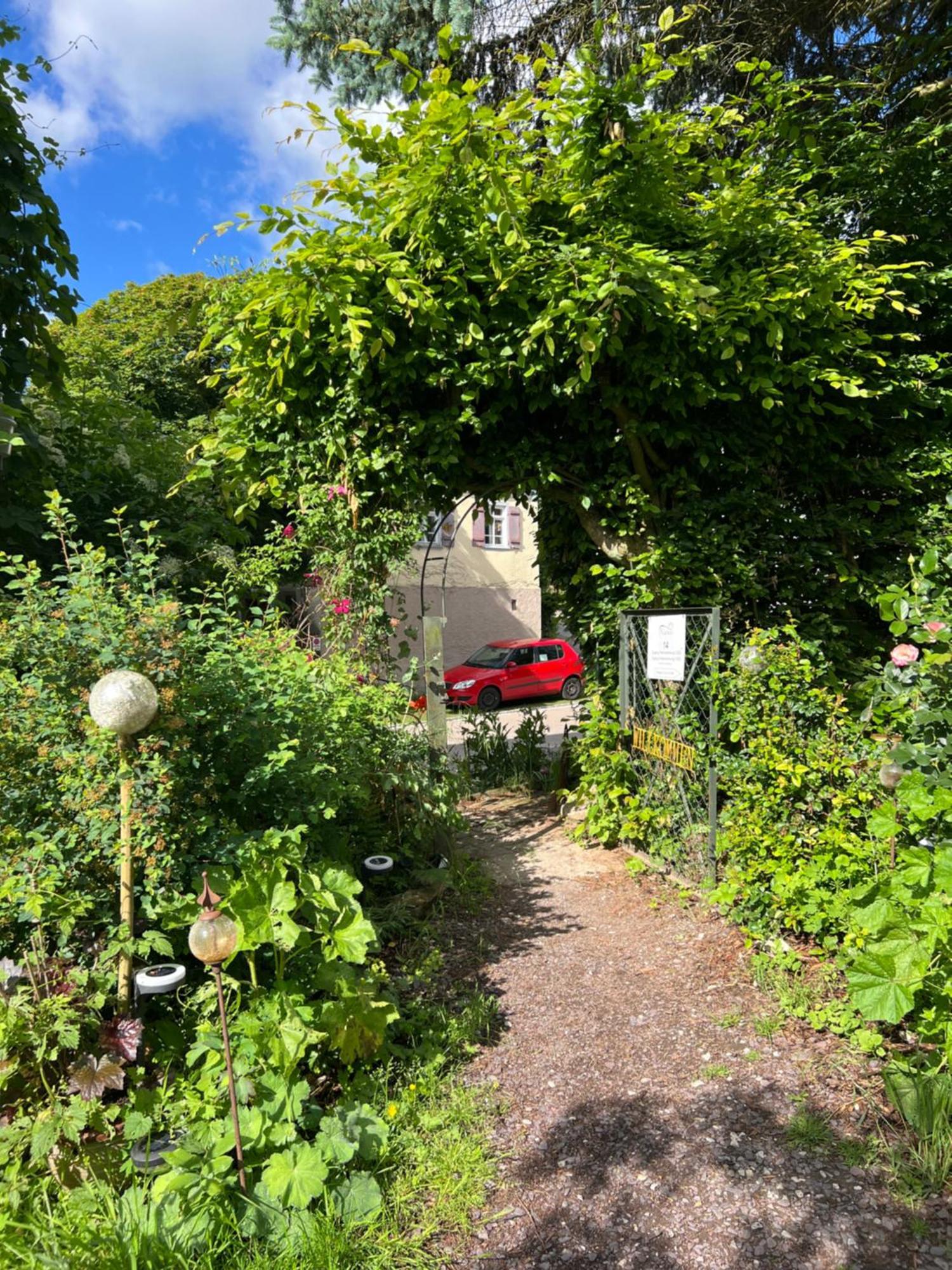 Ferieninrosengarten 1 Zi 190 Cm Deckenhoehe Oder Grosse 4 Zi Dg Whg Apartment