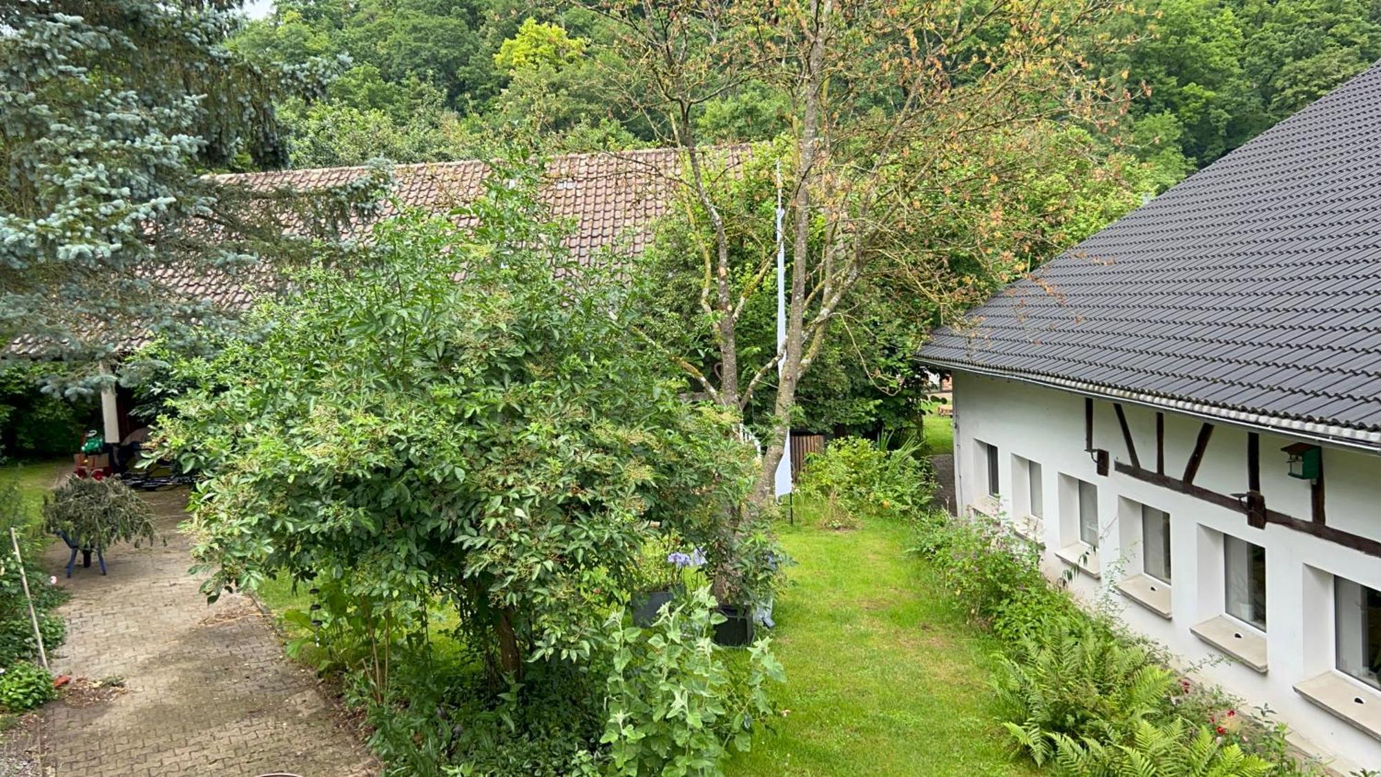 Apartment Ferieninrosengarten 1 Zi 190 Cm Deckenhoehe Oder Grosse 4 Zi Dg Whg