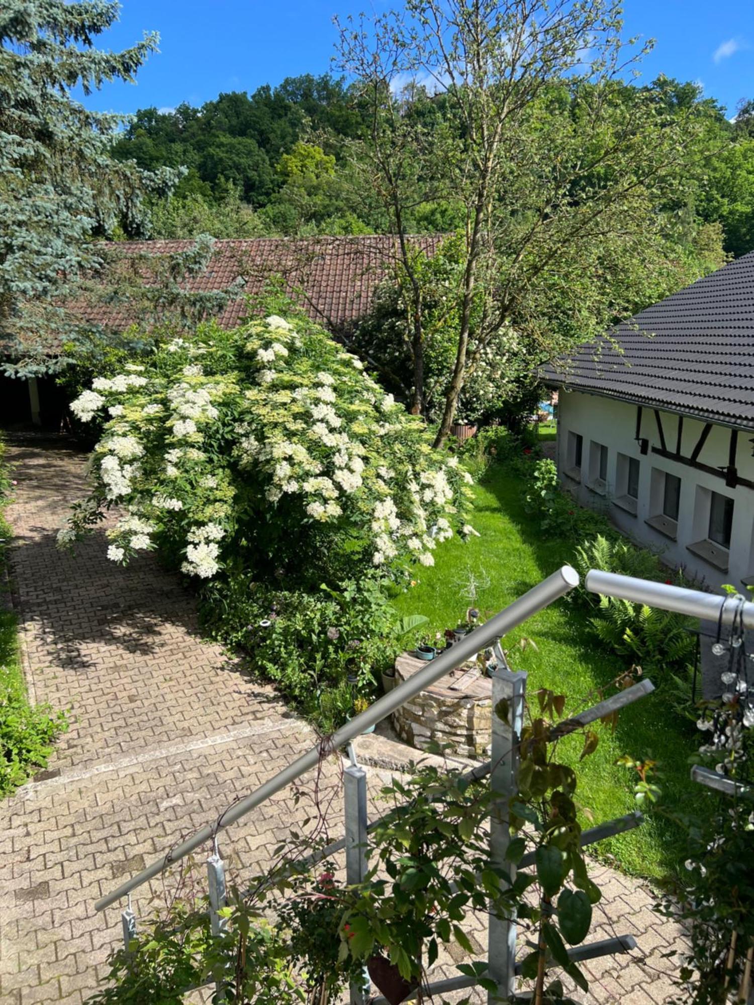 Apartment Ferieninrosengarten 1 Zi 190 Cm Deckenhoehe Oder Grosse 4 Zi Dg Whg Rosengarten (Baden-Wurttemberg)