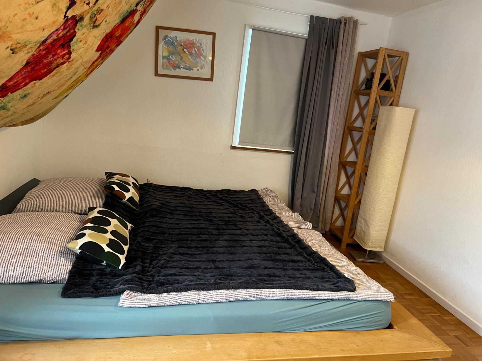 Apartment Ferieninrosengarten 1 Zi 190 Cm Deckenhoehe Oder Grosse 4 Zi Dg Whg